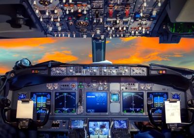 Ultralight Avionics Suppliers